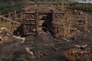 Animals approach the ark in Noah (2014).